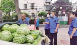 兰州吃瓜网站免费入口,免费入口带你畅游美食世界